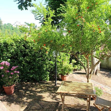 Le Coste Bed & Breakfast Veroli Dış mekan fotoğraf